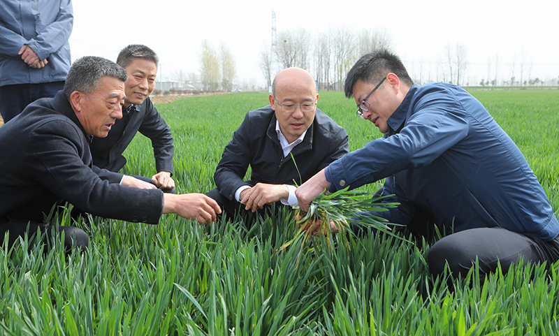 汪华东宣讲全国两会精神调研农业产业化和乡村振兴工作